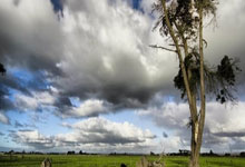 孙颖莎2024国际赛场所有比赛结束:我们明年见大象新闻.