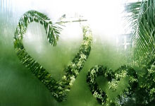 巴赫辞去国际奥委会委员职务 不再寻求连任.