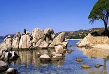 开云体育(kaiyun):体坛名场面|东方神鹿王军霞,比赛被推挤,6天打破3项世界纪录.